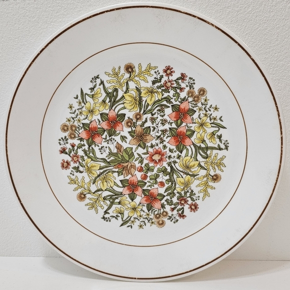 Vintage Corelle by CorningWare Indian Summer Dinner Plate Set of 2 - Picture 4 of 13